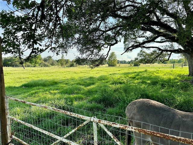 view of yard with a rural view