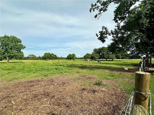 view of yard with a rural view