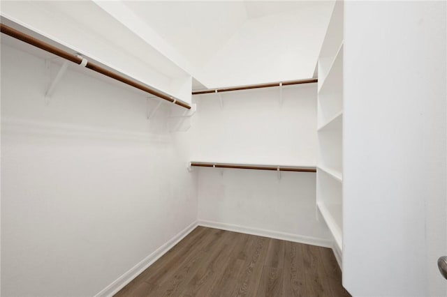 4118 Cedar Creek Ct, College Station, TX 77845 - walk in closet featuring wood finished floors