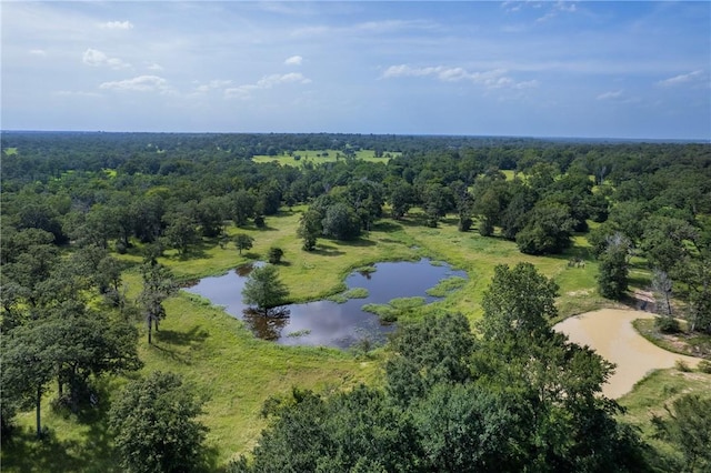 17756 County Road 473, Somerville, TX 77879 - photo 40