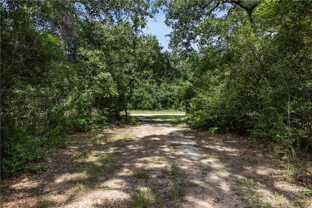 17756 County Road 473, Somerville, TX 77879 - photo 28