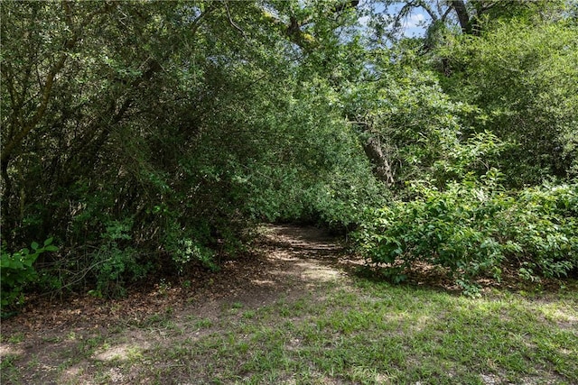 17756 County Road 473, Somerville, TX 77879 - photo 34