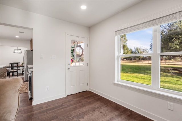 foyer entrance featuring dark hardwood / wood-style flooring