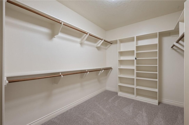 spacious closet with carpet