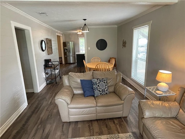 living room with crown molding and dark hardwood / wood-style flooring