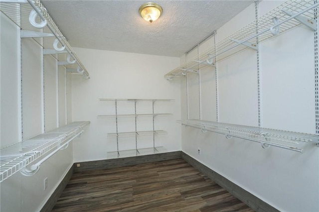 3000 Stevens Dr, Bryan, TX 77803 - walk in closet with wood finished floors