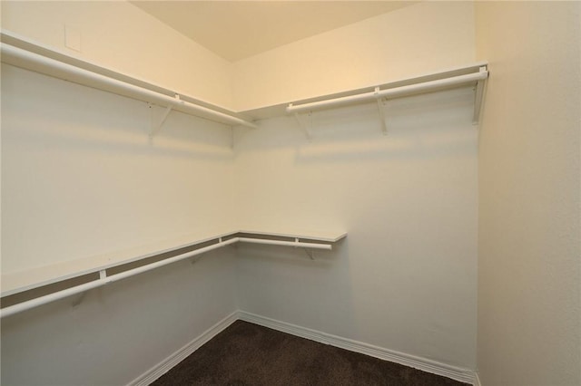 3000 Stevens Dr, Bryan, TX 77803 - spacious closet featuring dark carpet