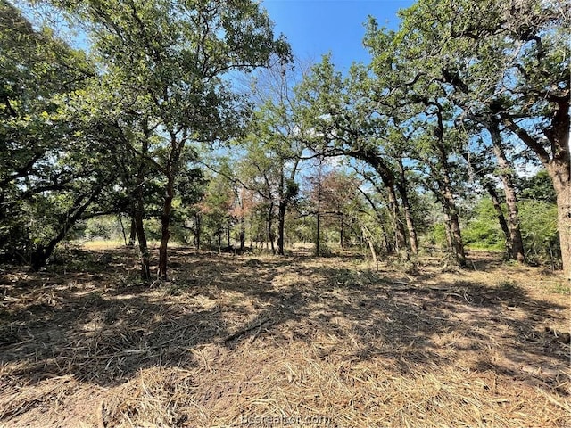 Listing photo 3 for TBD Live Oak, Hilltop Lakes TX 77871