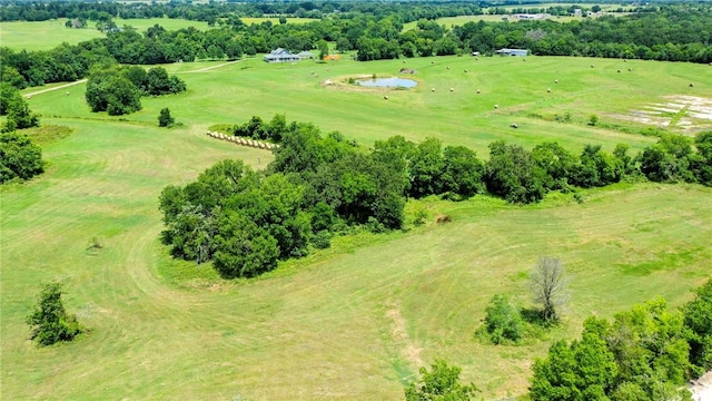 4853 Fm 1428, Madisonville, TX 77864