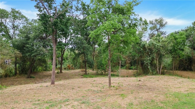 400 Suffolk Ave, College Station, TX 77840 - view of yard