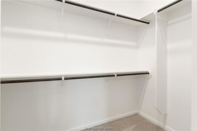 spacious closet with light colored carpet