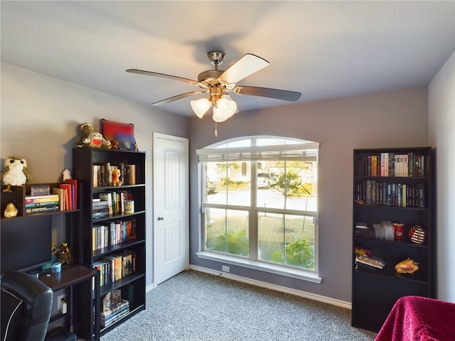 interior space with carpet and ceiling fan