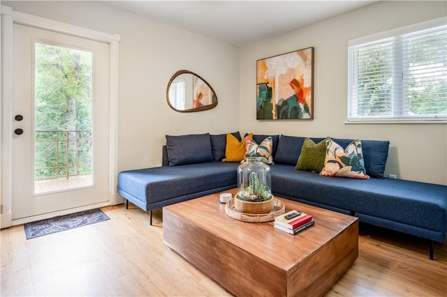 living room with plenty of natural light and light hardwood / wood-style flooring