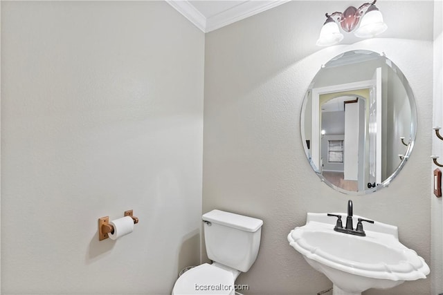 bathroom featuring toilet, ornamental molding, and sink