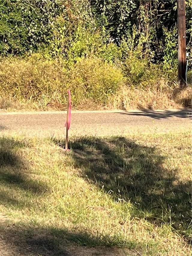 438 Low Wood Rd, Somerville, TX 77879