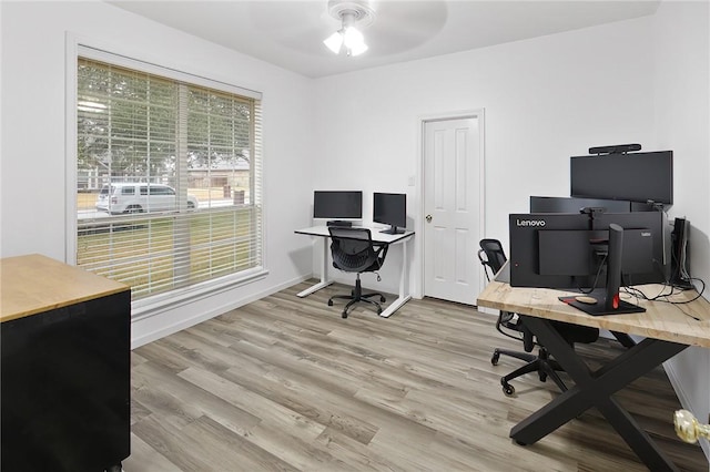 office featuring ceiling fan and light hardwood / wood-style flooring