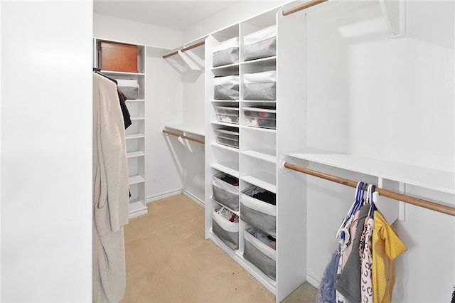 view of walk in closet