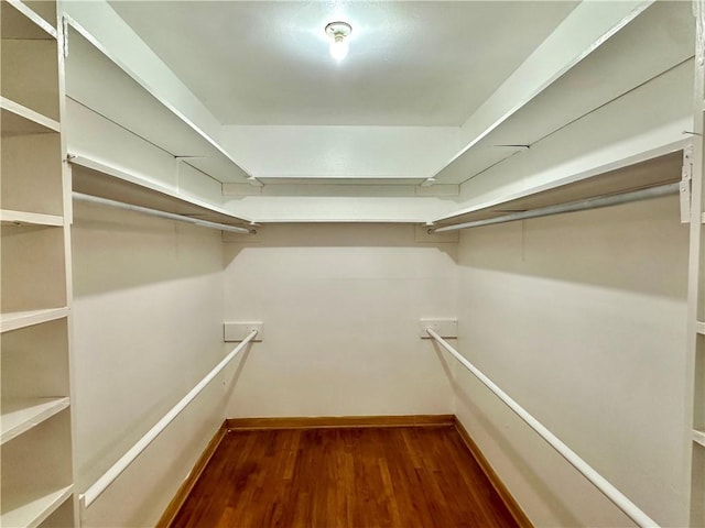 spacious closet featuring dark wood-type flooring