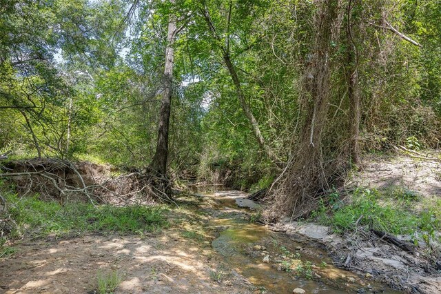 200/-AC Fm-2620, Bedias, TX 77831 - photo 29