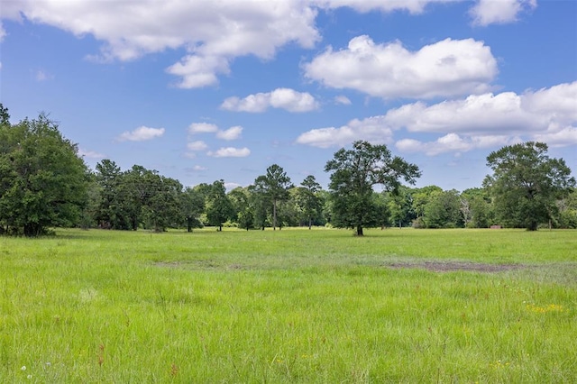 200/-AC Fm-2620, Bedias, TX 77831 - photo 28