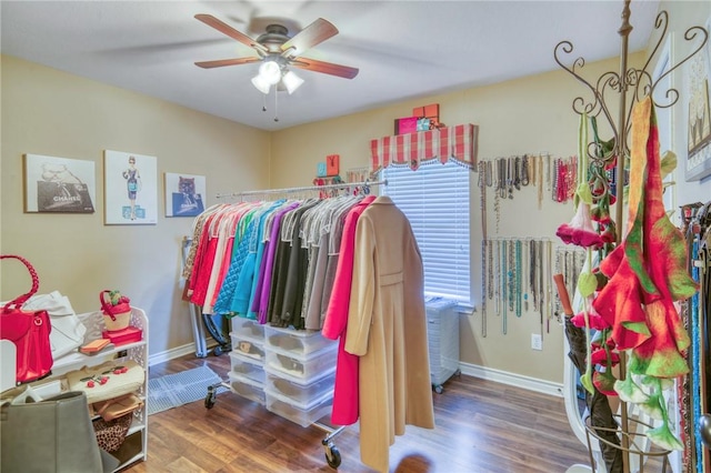 walk in closet with a ceiling fan and wood finished floors