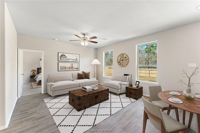 living room with ceiling fan and light hardwood / wood-style flooring