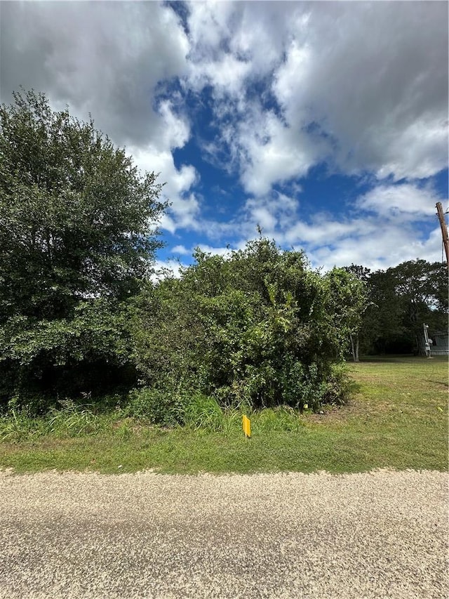 Listing photo 3 for 0 W Barton St, Calvert TX 77837