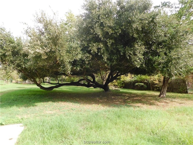 TBD Palasota Dr, Bryan TX, 77803 land for sale