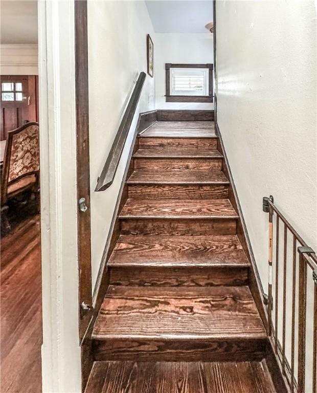 stairs featuring hardwood / wood-style floors