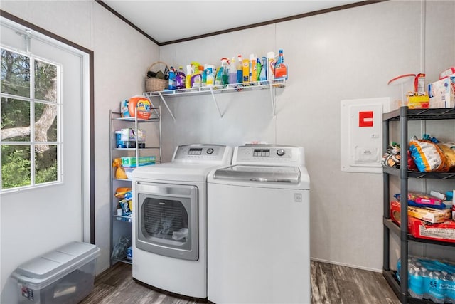 washroom featuring washing machine and clothes dryer, laundry area, crown molding, and wood finished floors