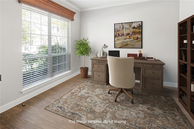 office featuring crown molding and hardwood / wood-style flooring