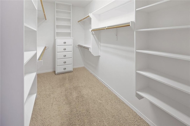 walk in closet with light colored carpet