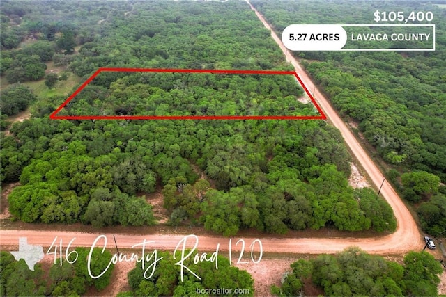 416 County Rd, TX, 77964 land for sale