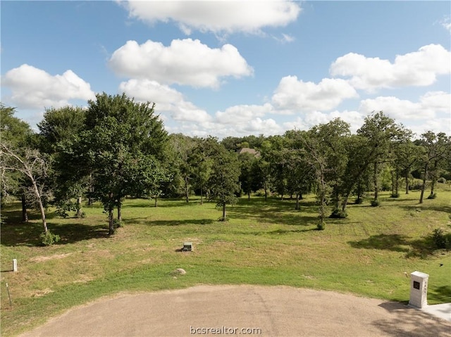 9670 Windsor Ave, Iola TX, 77861 land for sale