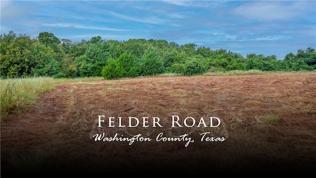 TBD Felder Rd, Washington TX, 77880 land for sale