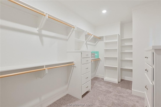 spacious closet with light carpet