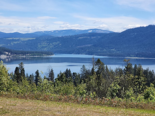 view of water feature featuring a wooded view and a mountain view