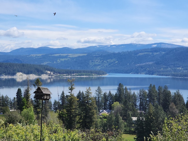 mountain view featuring a water view and a forest view