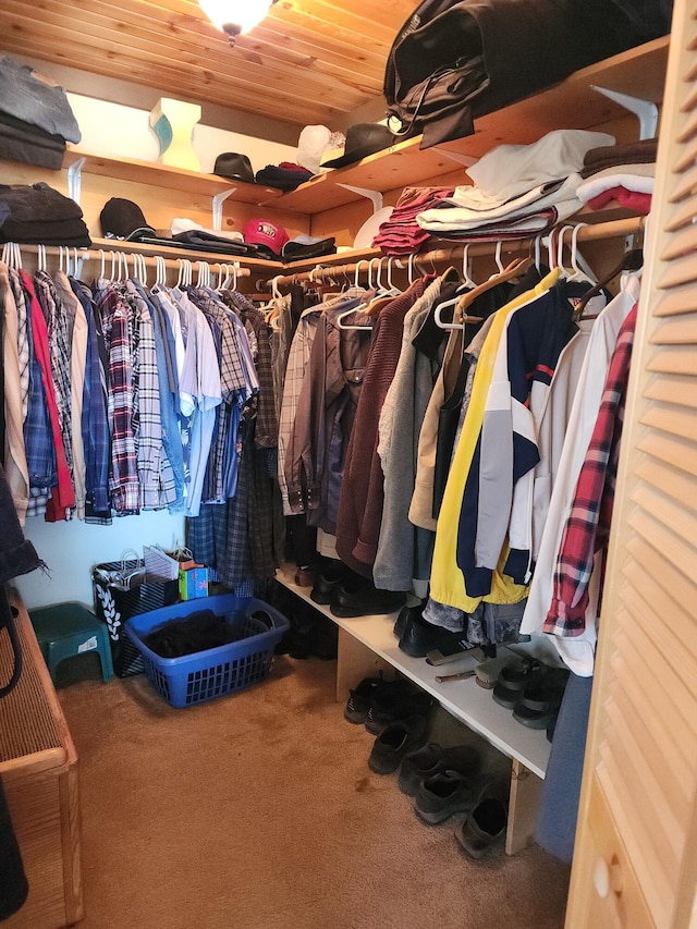 spacious closet featuring carpet