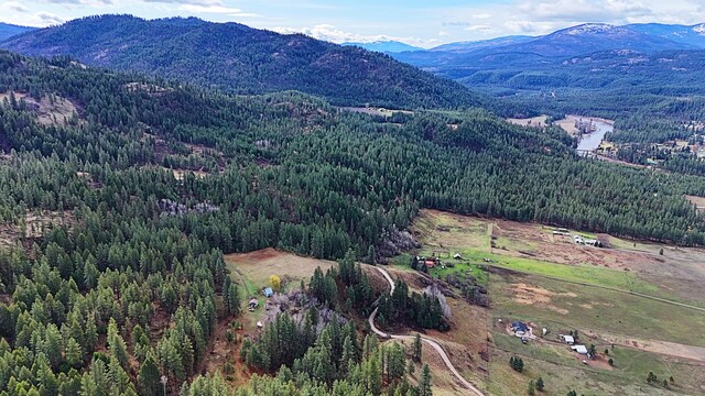 3434 Rockcut Rd, Kettle Falls, WA 99141 - mountain view featuring a forest