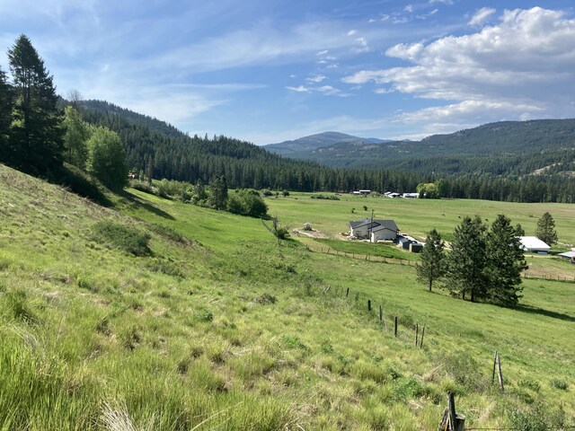 3434 Rockcut Rd, Kettle Falls, WA 99141 - mountain view featuring rural landscape, a heavily wooded area, and agricultural land
