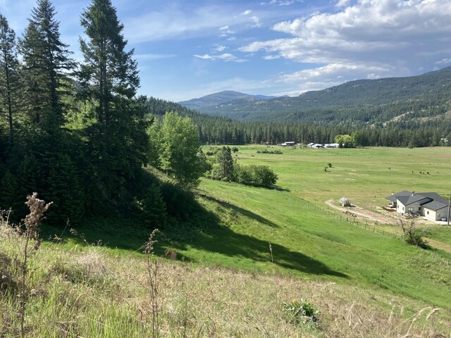 3434 Rockcut Rd, Kettle Falls, WA 99141 - view of mountain backdrop featuring a forest and rural landscape