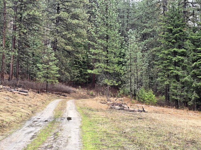3434 Rockcut Rd, Kettle Falls, WA 99141 - view of dirt / gravel road featuring a wooded view