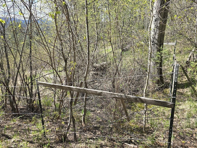 view of landscape