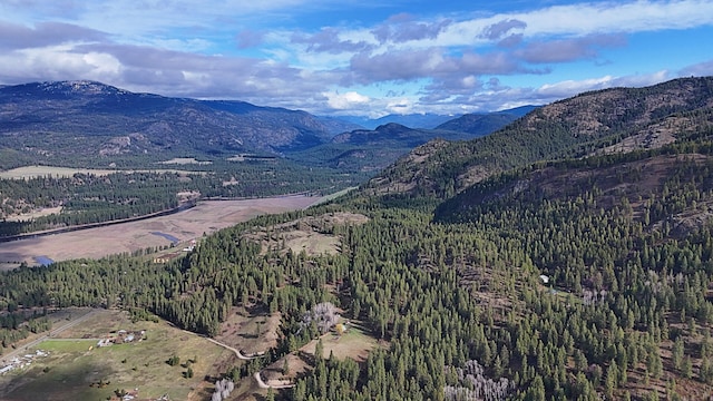 view of mountain feature with a forest view