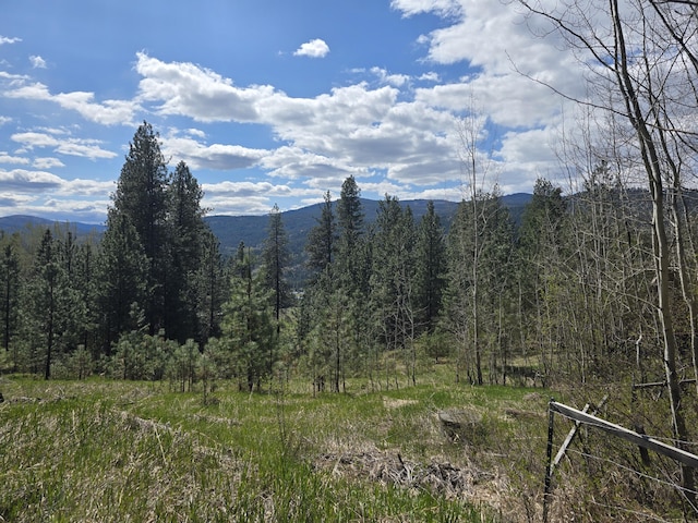 3434 Rockcut Rd, Kettle Falls, WA 99141 - mountain view with a forest