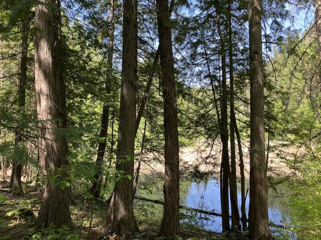 3434 Rockcut Rd, Kettle Falls, WA 99141 - water view with a heavily wooded area
