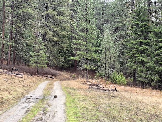 view of street with a wooded view