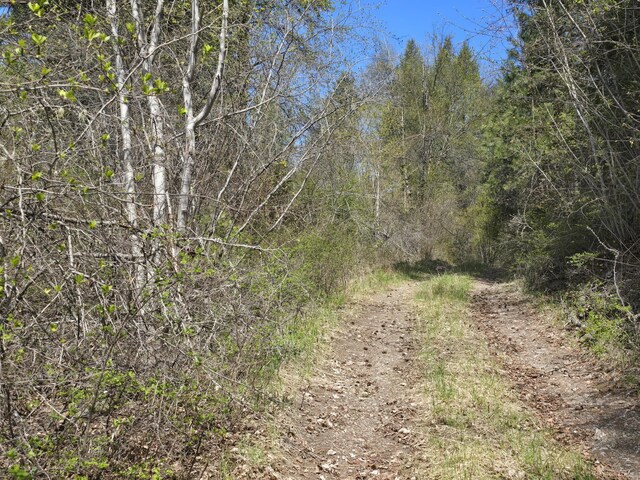 3434 Rockcut Rd, Kettle Falls, WA 99141 - view of undeveloped land