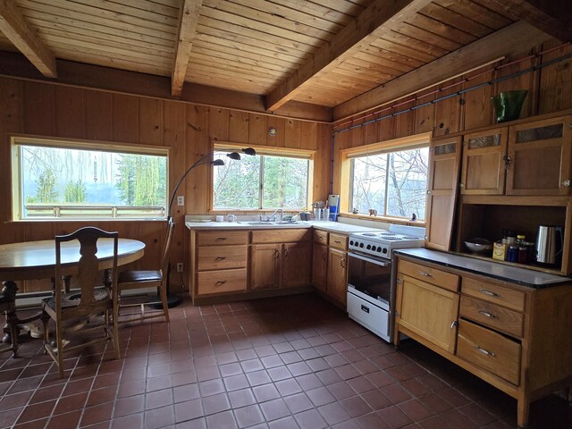 3434 Rockcut Rd, Kettle Falls, WA 99141 - kitchen featuring electric range oven, dark tile patterned flooring, wooden ceiling with exposed beams, wooden walls, and a sink